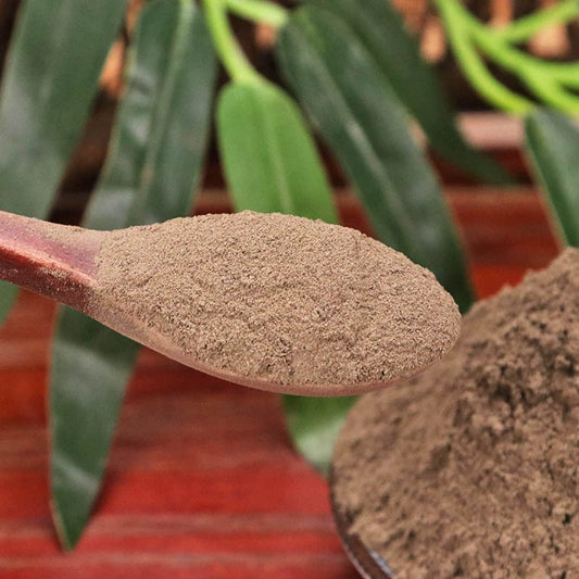 Rhizoma Cimicifugae Powder Largetrifoliolious Bugbane Rhizome Herb Powder Sheng Ma Fen-Pure Chinese Herb™