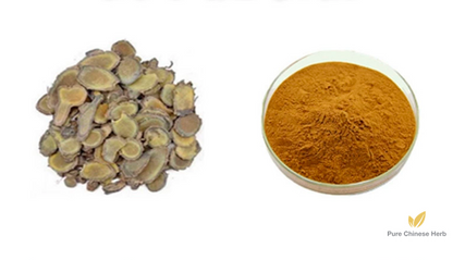 Rhizoma Curcumae Extract 20:1 | Curcuma Zedoary Extract | Yu Jin-Pure Chinese Herb™