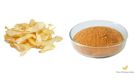 Rhizoma Polygonati Odorati Extract | Polysaccharide 60% | Fragrant Solomonseal Rhizome | Yu Zhu-Pure Chinese Herb™
