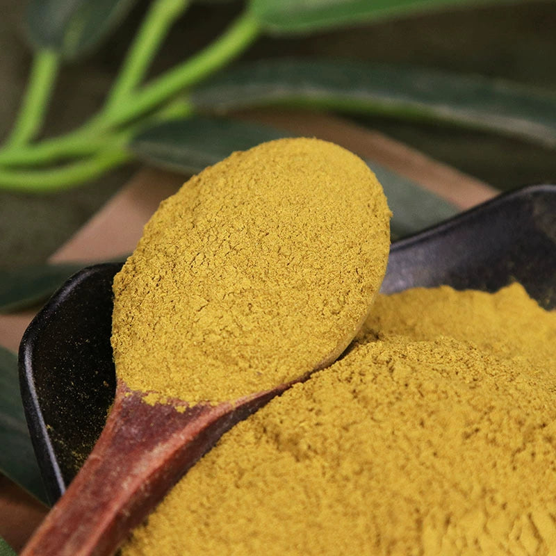 Rhizoma Polygoni Cuspidati Powder Giant Knotweed Rhizome Herb Powder Hu Zhang Fen-Pure Chinese Herb™
