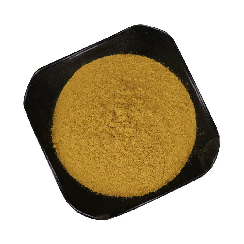 Rhizoma Polygoni Cuspidati Powder Giant Knotweed Rhizome Herb Powder Hu Zhang Fen-Pure Chinese Herb™