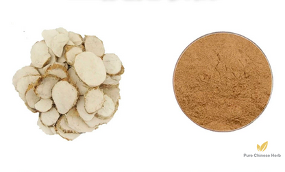 Rhizoma Sparganii Extract 20:1 | Common Burreed Rhizome Extract | San Leng-Pure Chinese Herb™