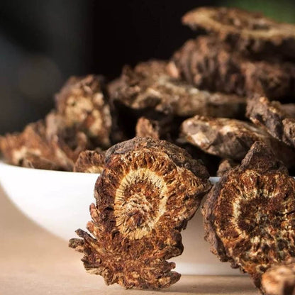 Rhizoma seu Radix Notopterygii Powder Incised Notopterygium Rhizome and Root Herb Powder Qiang Huo Fen-Pure Chinese Herb™
