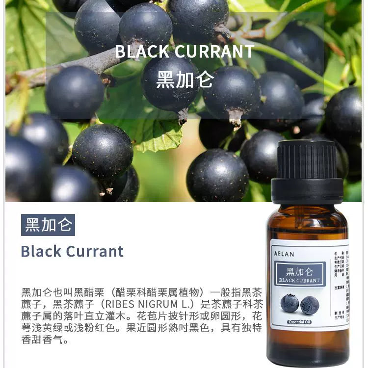 Ribes Nigrum Essential Oil | Black Currant Essential Oil | Hei Jia Lun Jing You-Pure Chinese Herb™