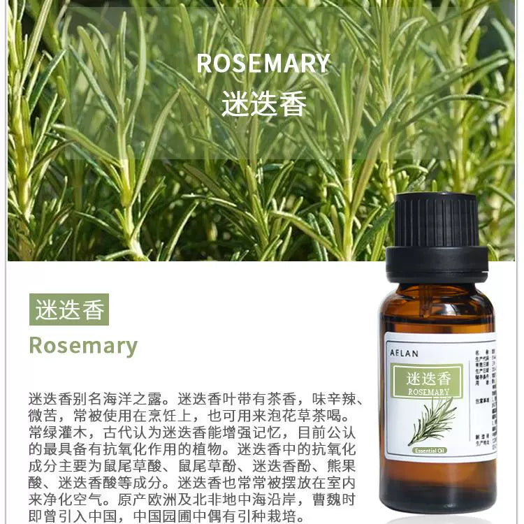 Salvia Rosmarinus Essential Oil | Rosemary Essential Oil | Mi Die Xiang Jing You-Pure Chinese Herb™