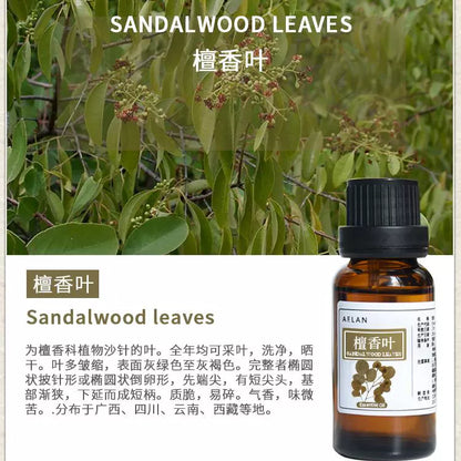 Santalum album Essential Oil | Sandalwood Essential Oil | Tan Xiang Mu Jing You-Pure Chinese Herb™
