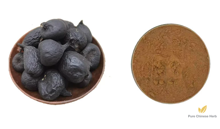 Sclerotium Xylariae Extract | Xylaria Nigripes Extract | Wu Ling Shen-Pure Chinese Herb™