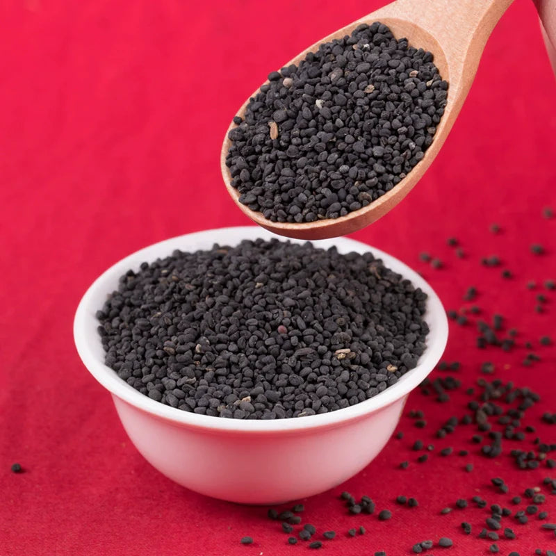 Scutellaria Baicalensis Seeds | Baikal Skullcap | Huang Qin | 200pcs/bag-Pure Chinese Herb™