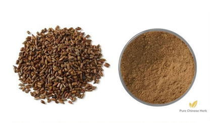 Semen Cassiae Extract 20:1 | Sickle Senna Seed Extract | Jue Ming Zi-Pure Chinese Herb™
