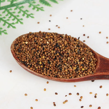 Semen Cuscutae Powder South Dodder Seed Herb Powder Tu Si Zi Fen-Pure Chinese Herb™