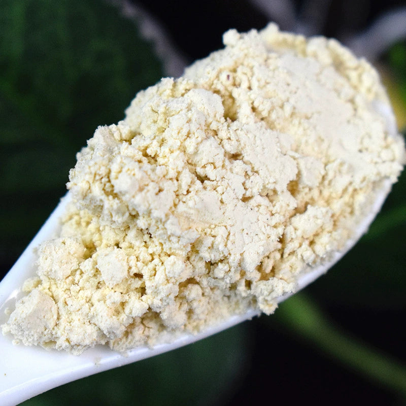 Semen Ginkgo Powder Ginkgo Seed Herb Powder Bai Guo Ren Fen-Pure Chinese Herb™