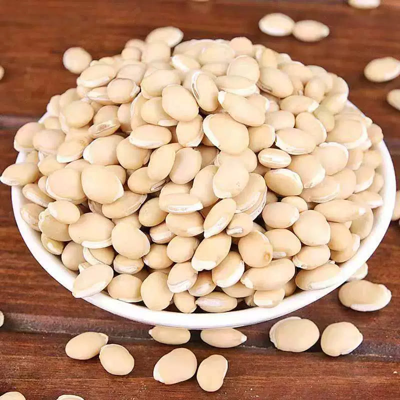 Semen Lablab Album Powder White Hyacinth Bean Herb Powder Bai Bian Dou Fen-Pure Chinese Herb™