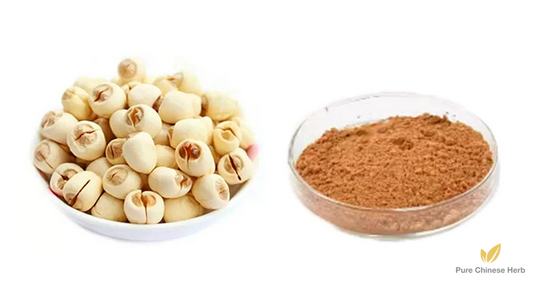 Semen Nelumbinis Extract 20:1 | Lotus Seed | Lian Zi-Pure Chinese Herb™