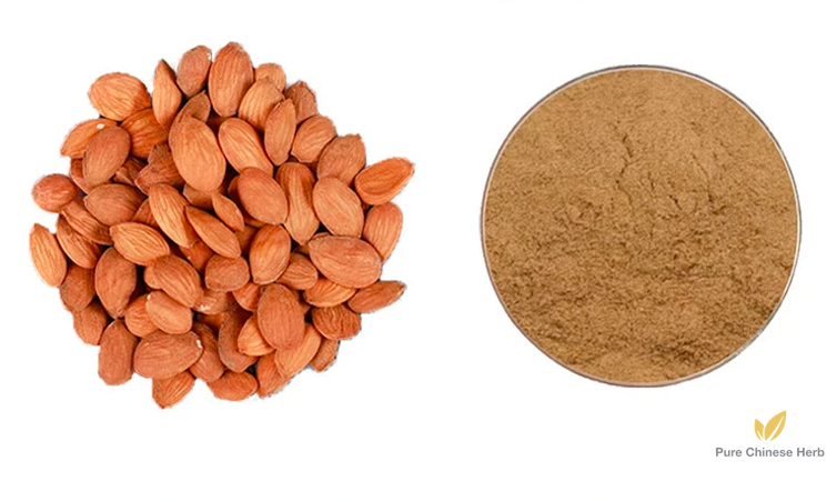 Semen Persicae Extract 20:1 | Peach Seed Extract | Tao Ren-Pure Chinese Herb™