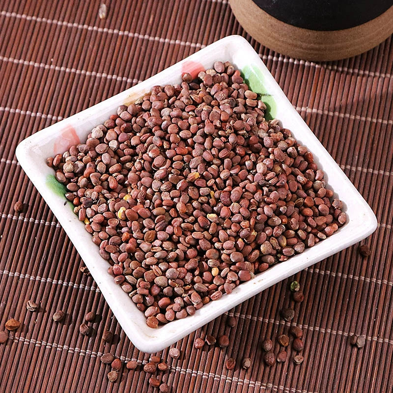 Semen Raphani Powder Radish Seed Herb Powder Lai Fu Zi Fen-Pure Chinese Herb™