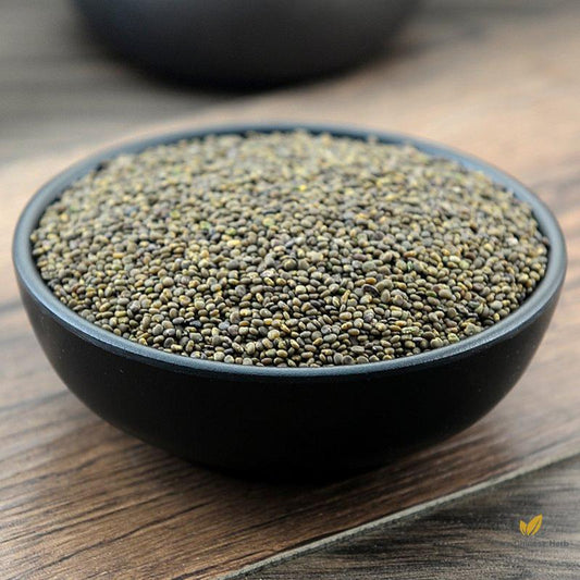 Sha Yuan Zi Flastem Milkvetch Seed Semen Astragali Complanati-Pure Chinese Herb™