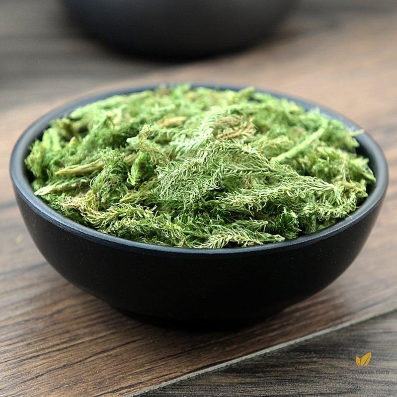 Shen Jin Cao Common Clubmoss Herb Herba Lycopodii-Pure Chinese Herb™