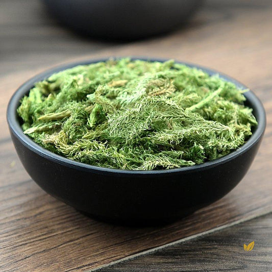 Shen Jin Cao Common Clubmoss Herb Herba Lycopodii-Pure Chinese Herb™