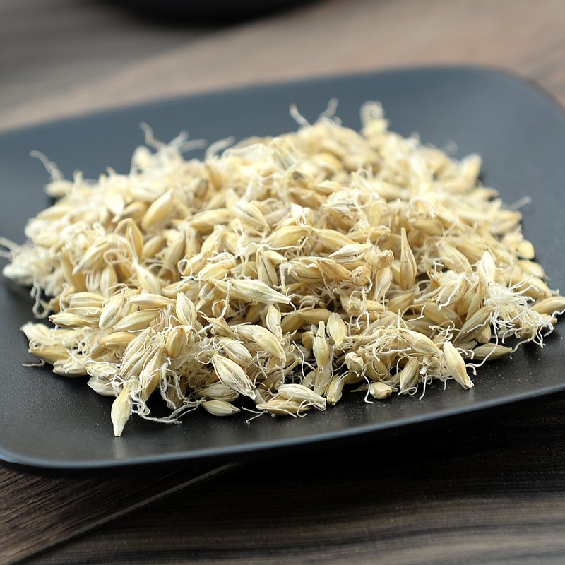 Sheng Mai Ya Malt Fructus Hordei Germinatus Hordeum Vulgare L.-Pure Chinese Herb™