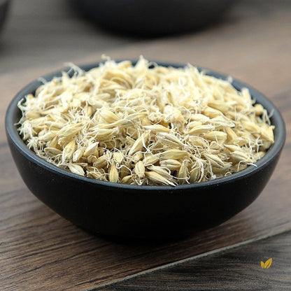 Sheng Mai Ya Malt Fructus Hordei Germinatus Hordeum Vulgare L.-Pure Chinese Herb™