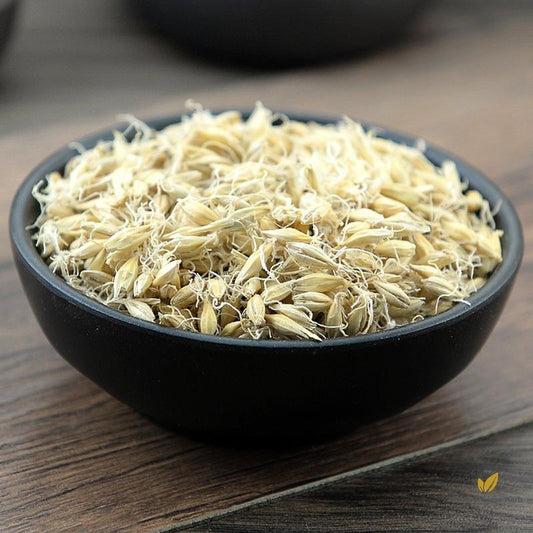 Sheng Mai Ya Malt Fructus Hordei Germinatus Hordeum Vulgare L.-Pure Chinese Herb™