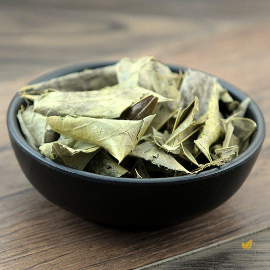 Shi Da Gong Lao Ye Chinese Mahonia Leaf Mahonia Bealei-Pure Chinese Herb™