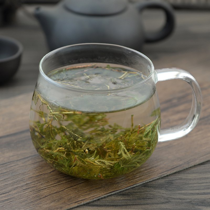 Shi Shang Bai Doederlein's Spikemoss Herb Herba Selaginellae Doederleinii-Pure Chinese Herb™