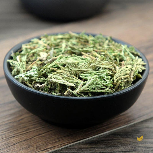 Shi Shang Bai Doederlein's Spikemoss Herb Herba Selaginellae Doederleinii-Pure Chinese Herb™