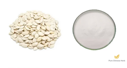Squash Seeds Extract Fatty Acid 30% | Pumpkin Seeds | Nan Gua Zi-Pure Chinese Herb™