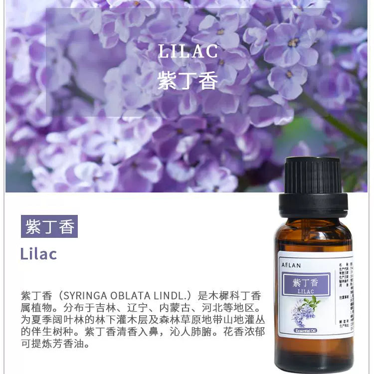 Syringa Oblata Essential Oil | Lilac Essential Oil | Zi Ding Xiang Jing You-Pure Chinese Herb™