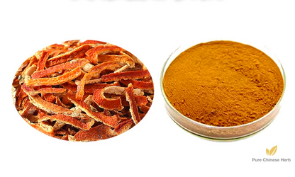 Tangerine Peel Extract 20:1 | Concentrated Pericarpium Citri Reticulatae Extract | Chen Pi-Pure Chinese Herb™