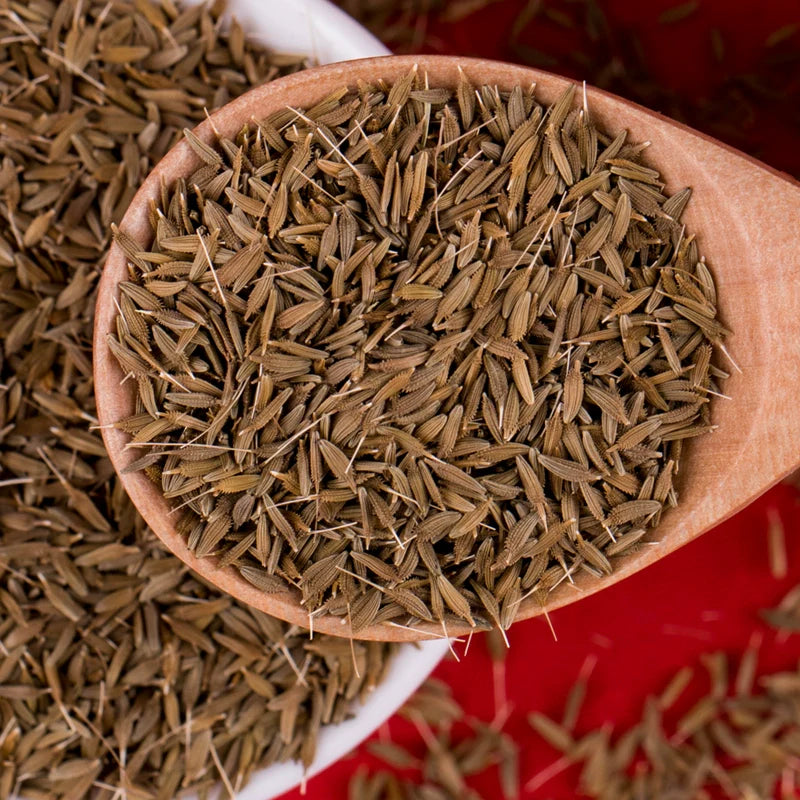 Taraxacum Officinale Seeds | Common Dandelion | Pu Gong Ying | 200pcs/bag-Pure Chinese Herb™