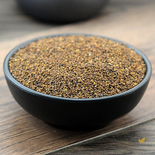 Tu Si Zi South Dodder Seed Chinese Dodder Seed Semen Cuscutae-Pure Chinese Herb™