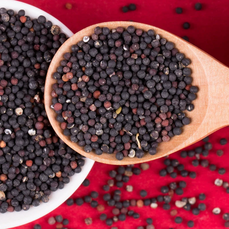 Vaccaria segetalis Seeds | Prairie Carnation | Wang Bu Liu Xing | 200pcs/bag-Pure Chinese Herb™