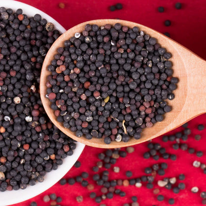 Vaccaria segetalis Seeds | Prairie Carnation | Wang Bu Liu Xing | 200pcs/bag-Pure Chinese Herb™