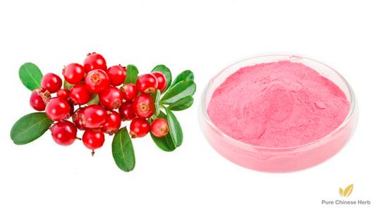 Vaccinium Macrocarpon Extract 20:1 | Large Cranberry Extract | Man Yue Mei-Pure Chinese Herb™