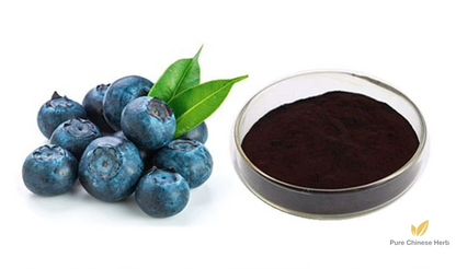 Vaccinium Oxycoccus Pigment Extract 25% | Blueberry | Lan Mei-Pure Chinese Herb™