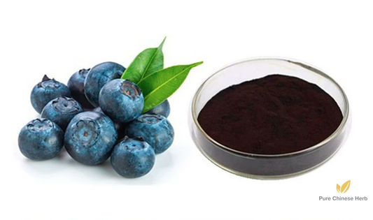 Vaccinium Oxycoccus Pigment Extract 25% | Blueberry | Lan Mei-Pure Chinese Herb™