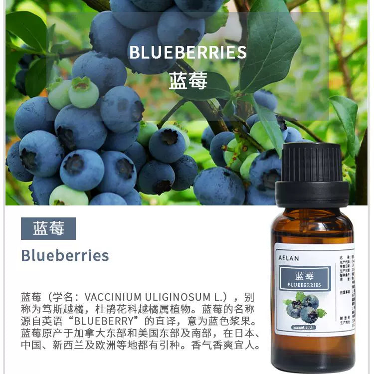 Vaccinium spp. Essential Oil | Blueberry Essential Oil | Lan Mei Jing You-Pure Chinese Herb™