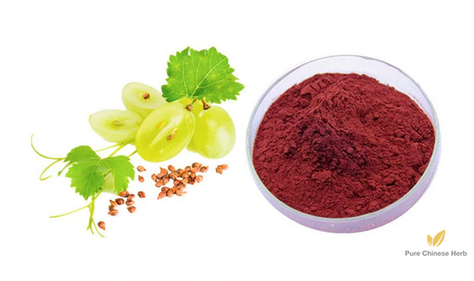 Vitis vinifera Extract OPC 95% | Grape Seed Extract | Pu Tao Zi-Pure Chinese Herb™