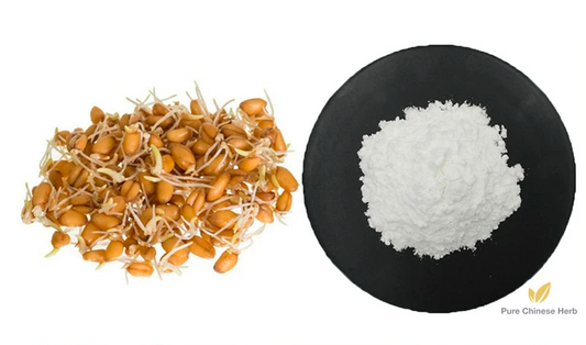 Wheat Germ Extract | Mai Ya-Pure Chinese Herb™