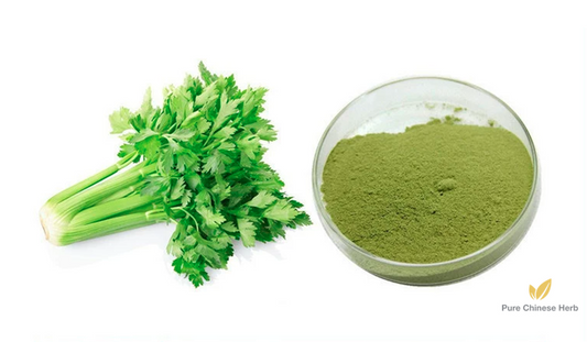 Wild Celery Extract 20:1 | Apium Graveolens Extract | Ye Qin Cai-Pure Chinese Herb™