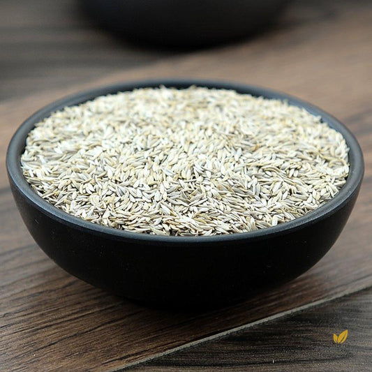 Wo Ju Zi Seed Of Garden Lettue Lactuca Sativa Asparagus Lettuce-Pure Chinese Herb™