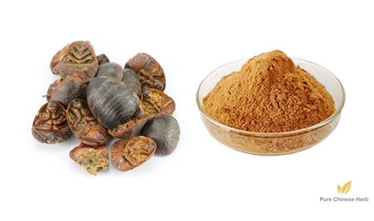 Woodlouse Extract 20:1 | Eupolyphaga Sinensis | Tu Bie Chong-Pure Chinese Herb™
