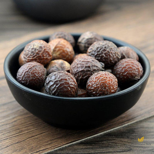 Wu Huan Zi Fructus Sapindi Mukorossi Chinese Soapberry Fruit-Pure Chinese Herb™