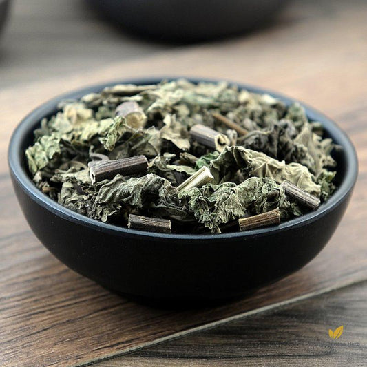 Xi Xian Cao Herba Siegesbeckiae Common St.Paulswort Herb-Pure Chinese Herb™