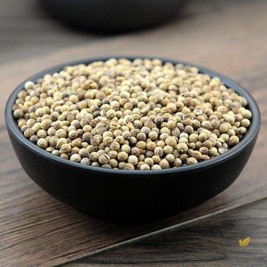 Xiang Cai Zi Coriander Herb with Fruit Coriander Herba Coriandri Sativi-Pure Chinese Herb™