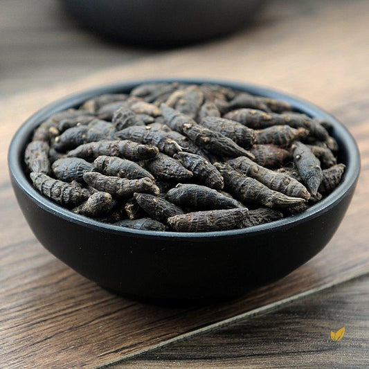 Xiang Fu Nutgrass Galingale Rhizome Rhizoma Cyperi-Pure Chinese Herb™