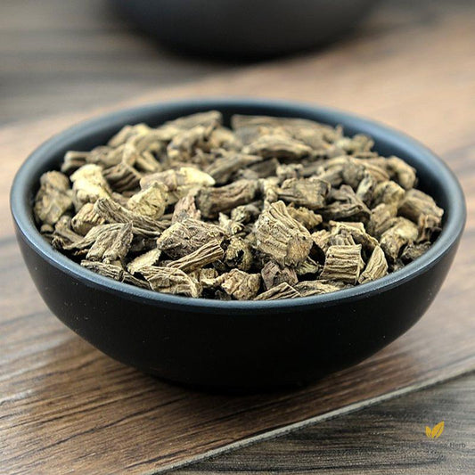 Xu Duan Himalayan Teasel Root Radix Dipsaci Dipsacus Asperoides C.-Pure Chinese Herb™