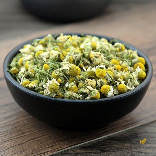 Yang Gan Ju Florists Chrysanthemum Flower Flos Chrysanthemi-Pure Chinese Herb™